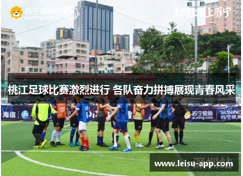 桃江足球比赛激烈进行 各队奋力拼搏展现青春风采